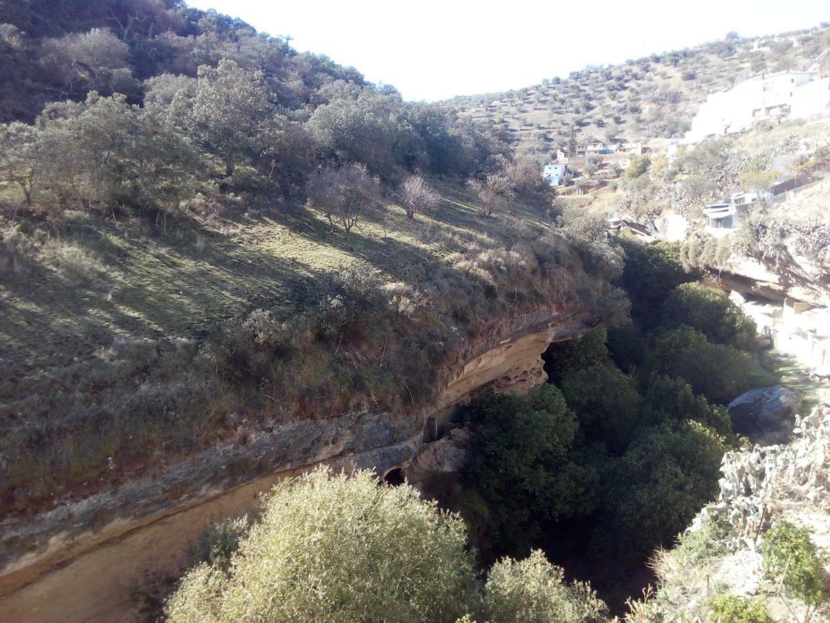 Setenil De Las Bodegas Casa Bermudez旅馆 外观 照片